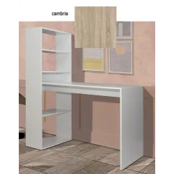 ESCRITORIO CON ESTANTERIA VILLENA BLANCO           BLANCO