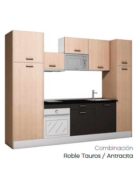 COCINA COMPLETA 280 CM.