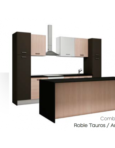COCINA COMPLETA 320 CM.