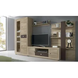 COMPOSICION LEDS 300 CM. MOD. JULIETA ANDERSEN PINO-GRIS O C 2