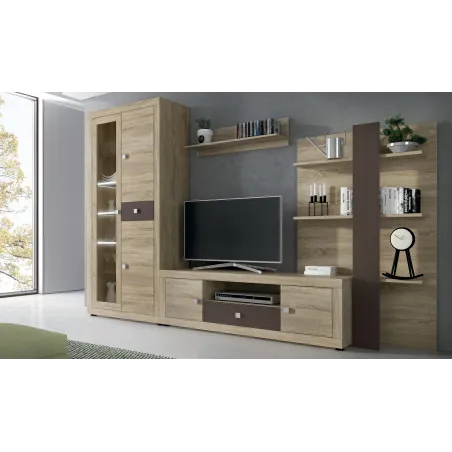 COMPOSICION LEDS 300 CM. MOD. JULIETA ANDERSEN PINO-GRIS O C