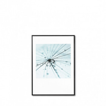 CUADRO DANDELION 1 50*70 NEGRO