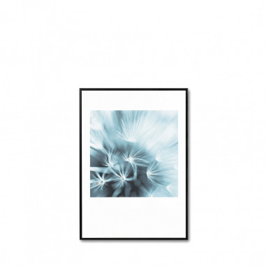 CUADRO DANDELION 3 50*70 NEGRO