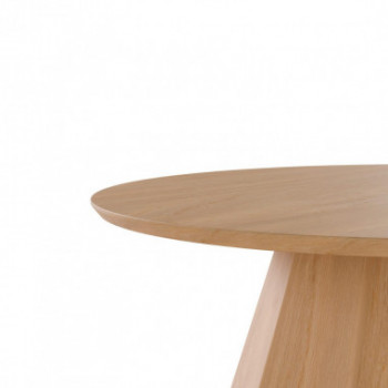 MESA CENTRO HOMERO ROBLE 2