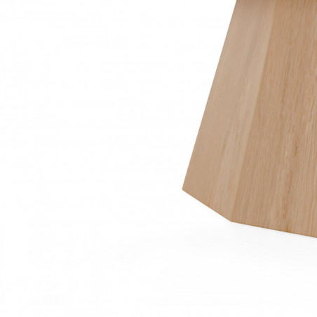 MESA CENTRO HOMERO ROBLE