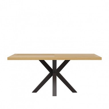 MESA ELAINE 200*100 FIJA ROBLE-NEGRO