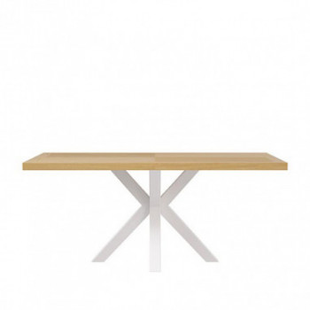 MESA ELAINE 200*100 FIJA ROBLE-BLANCO 2